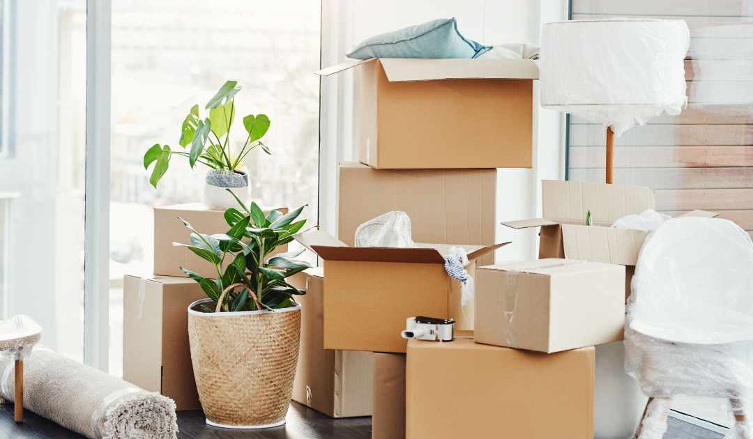 Managing the Chaos of Move-Ins and Move-Outs