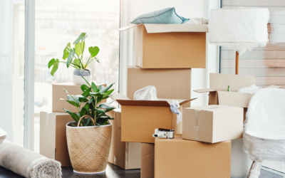 Managing the Chaos of Move-Ins and Move-Outs